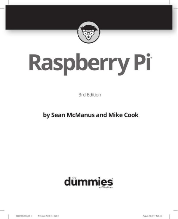 Raspberry Pi For Dummies: Beginner's Guide to DIY Projects