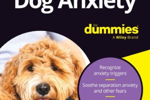 Dog Anxiety Solutions – Training and Care Guide
