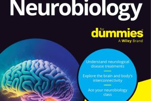 Neurobiology for Dummies: Understanding the Brain and Nervous System