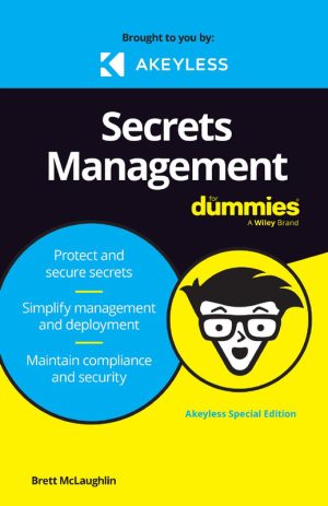 Secrets Management Essentials: Secure Your Data Effectively