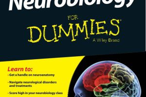 Neurobiology For Dummies: Brain Science Explained