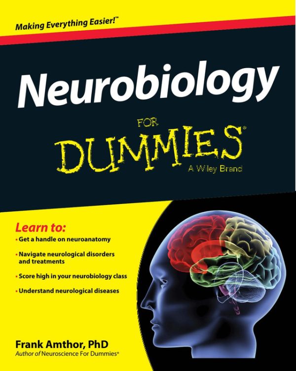 Neurobiology For Dummies: Brain Science Explained
