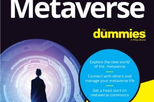 Metaverse For Dummies: Navigating Virtual Worlds and Digital Economies