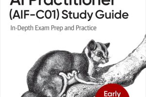 AWS Certified AI Practitioner Study Guide (for Raymond Rhine)
