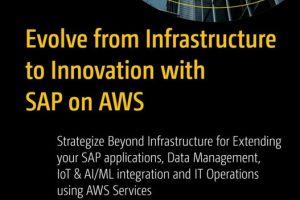 Evolve from Infrastructure to Innovation & SAP on AWS Strategize Beyond Infrastructure for Extending Your SAP Applications, Data Management, Iot I (2024)