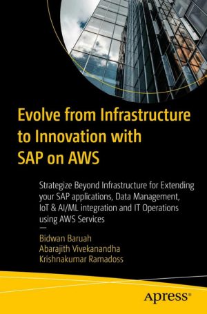 Evolve from Infrastructure to Innovation & SAP on AWS Strategize Beyond Infrastructure for Extending Your SAP Applications, Data Management, Iot I (2024)