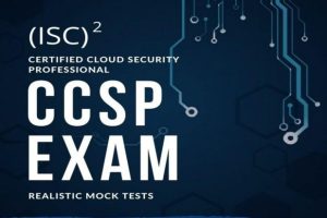 Certified Cloud Security Professional CCSP Exam Realistic Mock Tests