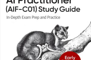 AWS Certified AI Practitioner Study Guide (for Raymond Rhine)