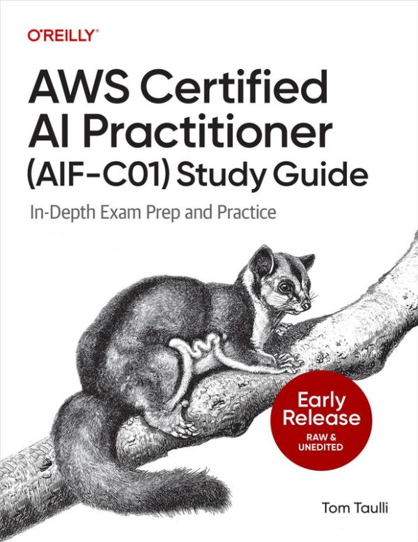 AWS Certified AI Practitioner Study Guide (for Raymond Rhine)
