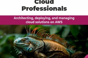 Architecting, deploying, and managing cloud solutions on AWS