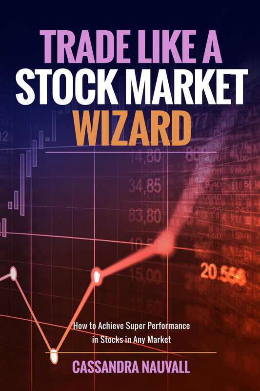 Trade like A Stock Market Wizard: How to achieve super performance in stocks in any market