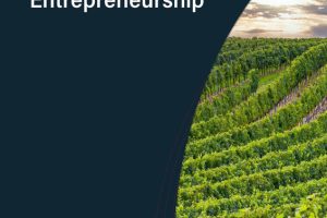 Sustainable Entrepreneurship A Guide to Strategic Business Management for Small Entrepreneurs in the Wine Industry & beyond-UVK 1. Edition (2024)