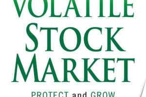Investing in a Volatile Stock Market