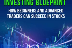 Beginners Stock Market Investing Blueprint
