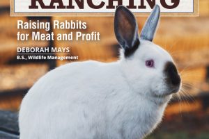 A Practical Guide to Rabbit Ranching