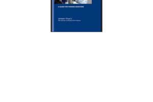 Investing in China The Emerging Venture Capital Industry-GMB Publishing (2005)