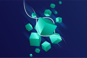 Functional Components in Vue.js