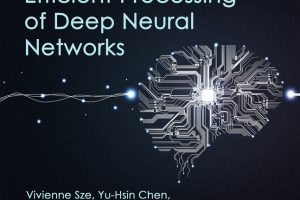 Efficient Processing of Deep Neural Networks