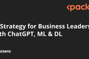 AI Strategy for Business Leaders with ChatGPT & ML/DL