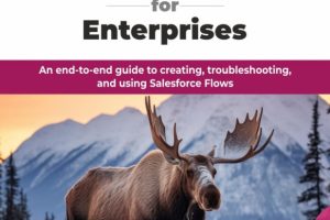 Mastering Salesforce Flow for Enterprises