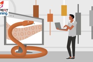 Algo Trading & Finance Models with Python, R & Stata (2025)