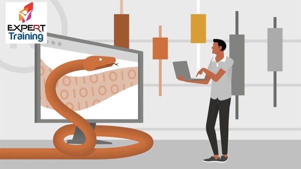 Algo Trading & Finance Models with Python, R & Stata (2025)