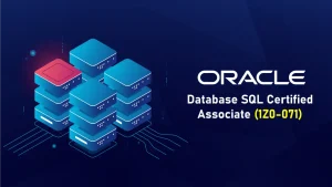 Oracle Database SQL Certified Associate (1Z0-071)