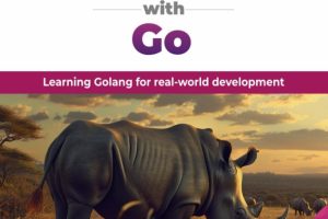 Software Productivity with Go
