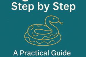 Python Algorithms Step by Step A Practical Guide with Examples (Expert Training)