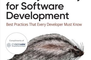Identity Security for Software Development (for Raymond Rhine)