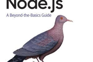 Efficient Node.js Performance Optimization Book