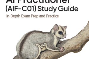 AWS Certified AI Practitioner Study Guide