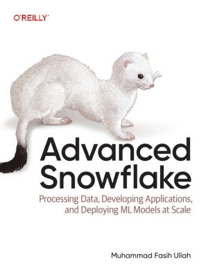 Advanced Snowflake Data Processing and Machine Learning
