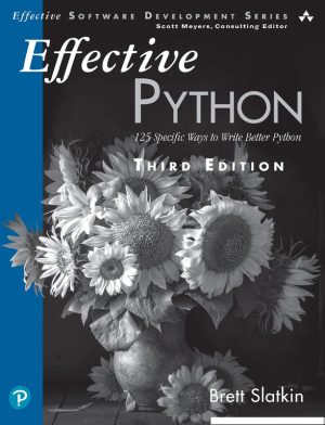 Effective Python Programming Best Practices Explained