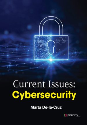 Current Cybersecurity Issues Threats and Risk Management
