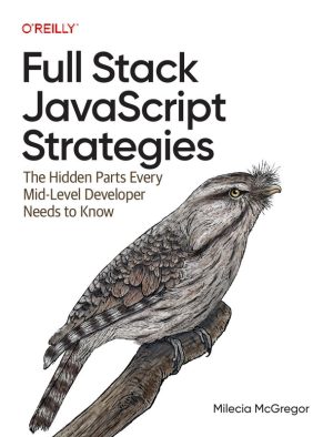 Full Stack JavaScript Strategies