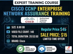 Cisco CCNP Enterprise Network Assurance Training
