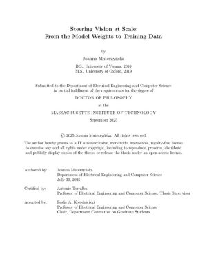 Steering Vision at Scale Training Data and Model Optimization