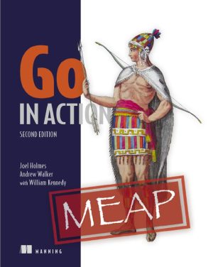 Go Programming in Action Second Edition Practical Guide