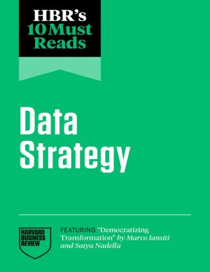 Data Strategy Insights from Harvard Business Review Guide
