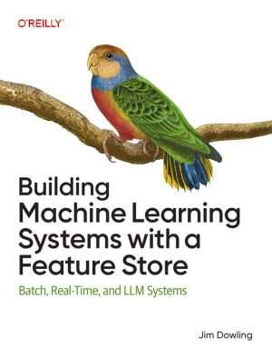 Building Machine Learning Systems with Feature Store Guide