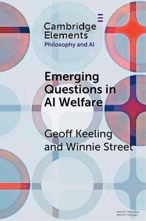 Exploring Emerging Questions in AI Welfare Philosophy